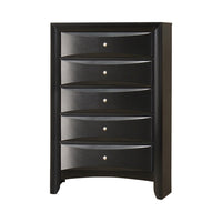 Ica 49 Inch Tall Dresser Chest, 5 Chambered Drawers, Felt Lined, Black - BM296757