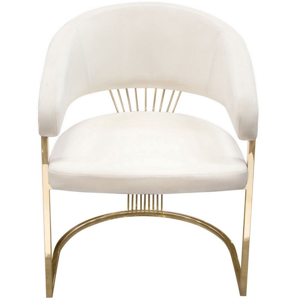 Emy 26 Inch Cantilever Barrel Dining Chair, Cream Velvet Upholstery, Gold - BM303167