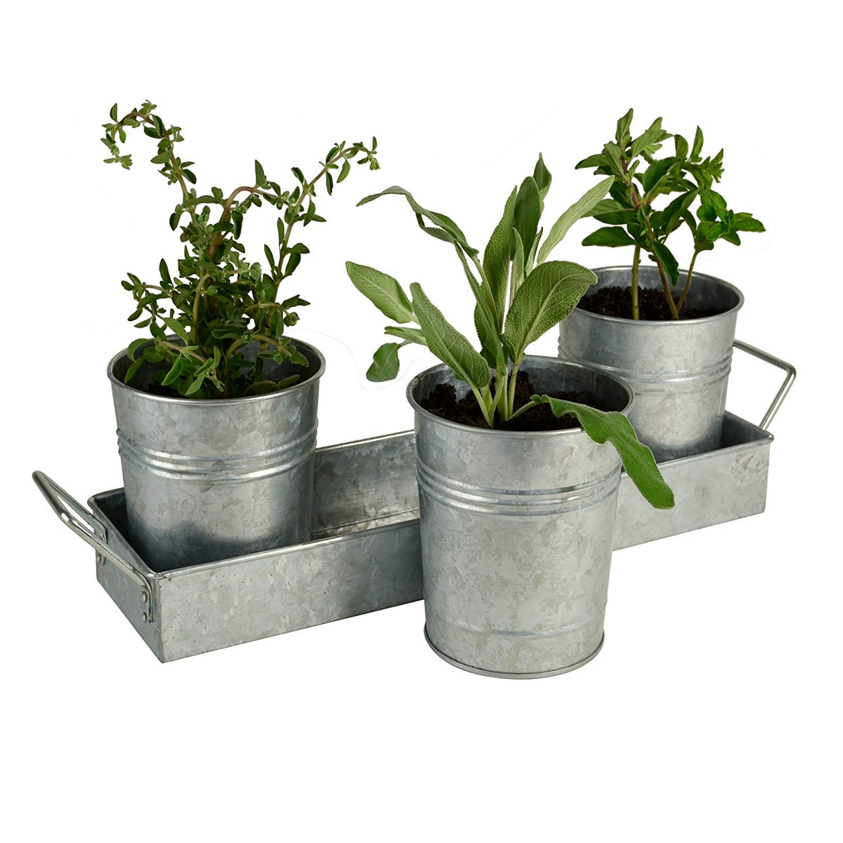 Galvanized Set of Three Planters With Tray, Gray - BM164576